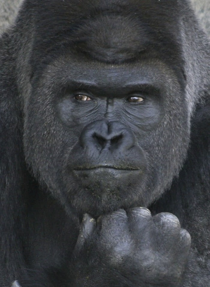 Orango