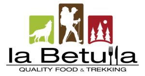 logo la Betulla